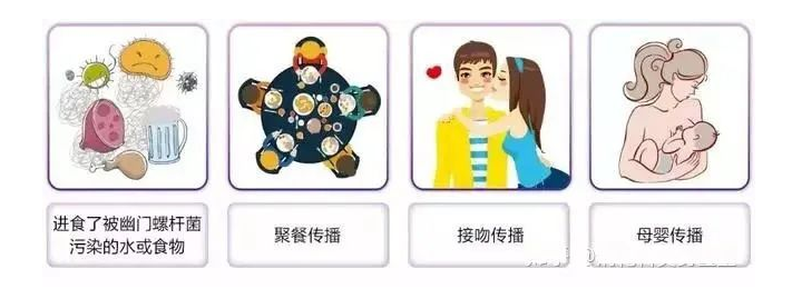 幽门螺旋杆菌传播